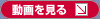 動画を見る